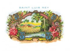 圣路易斯雷 Saint Luis Rey