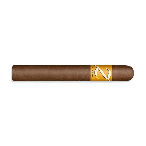 尼加拉瓜 公牛 Nicaragua Toro