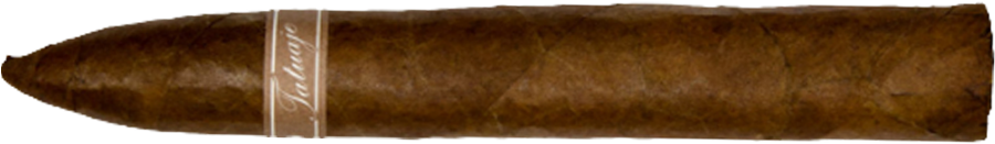 迈阿密 尤尼可鱼雷 Miami Unicos Torpedo