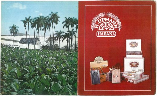 1983 年古巴雪茄目录第 17 页扫描件