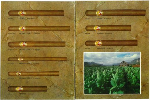1989 年 Cubatabaco 古巴烟草公司目录第 72 页扫描件