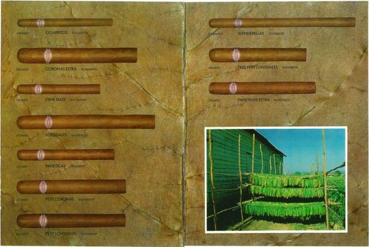 1989 年 Cubatabaco 古巴烟草公司目录第 95 页扫描件