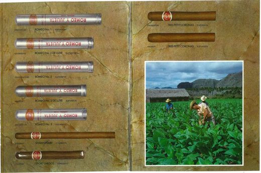 1989 年 Cubatabaco 古巴烟草公司目录第 105 页扫描件