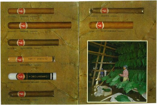 1994 年古巴雪茄目录第 66 页扫描件