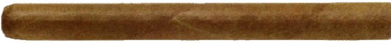 巨型罗布图(Giant Robusto)