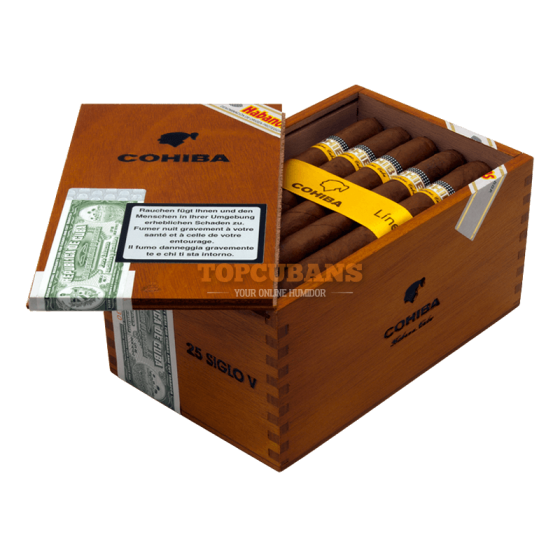 Siglo V (AGED MOS OCT09) 