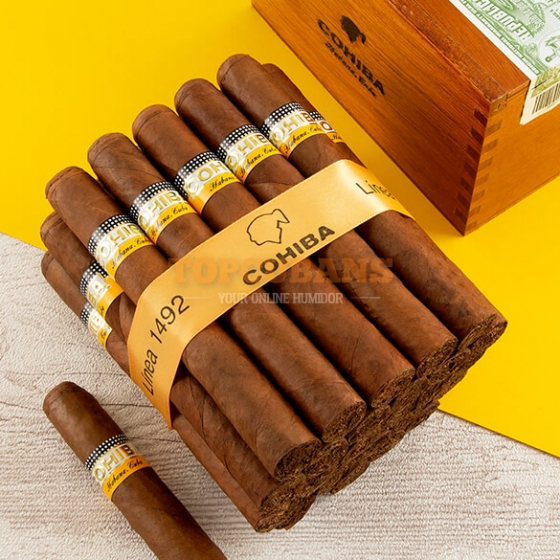Siglo II (AGED 2013) 