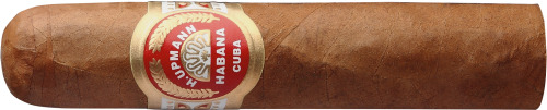 半皇冠 Half Corona