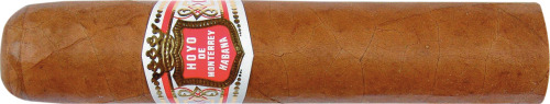 小罗布图 Petit Robusto