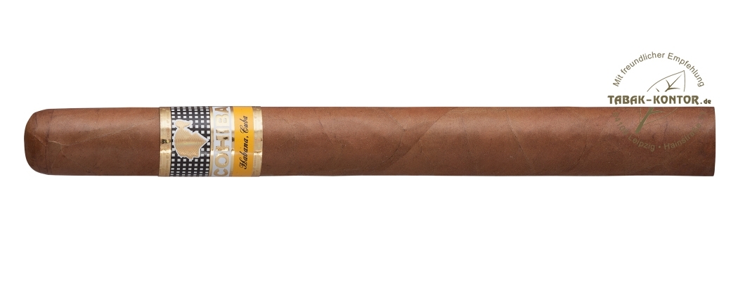 Cohiba Siglo V 