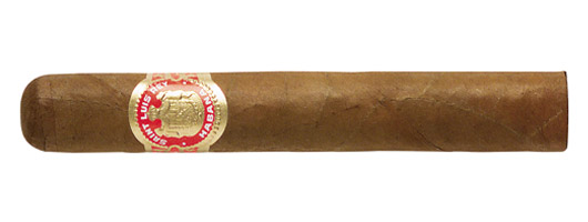 Saint Luis Rey Regios 