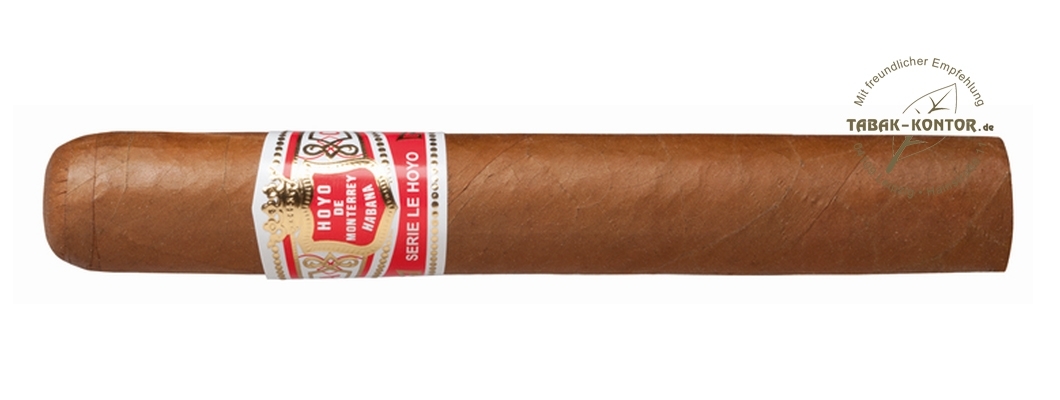 Hoyo de Monterrey Le Hoyo de San Juan 10er 