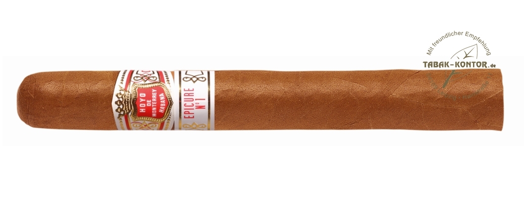Hoyo de Monterrey Epicure No. 1 