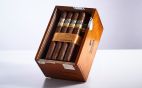 Cohiba - LINEA 1492 Siglo III 25er Kiste 