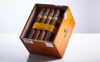 Cohiba - LINEA 1492 Siglo VI 25er Kiste 