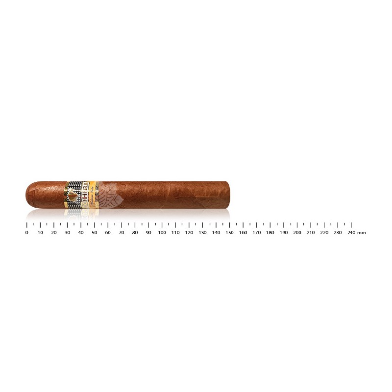 COHIBA SIGLO VI AT (3)COHIBA SIGLO VI AT (3)