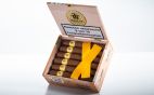 Trinidad - Esmeralda 12er KisteTrinidad - Esmeralda 12er Kiste