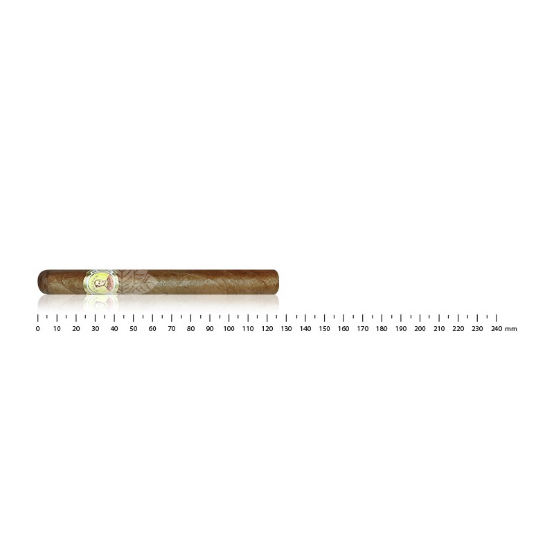 BOLIVAR TUBOS NO.3BOLIVAR TUBOS NO.3
