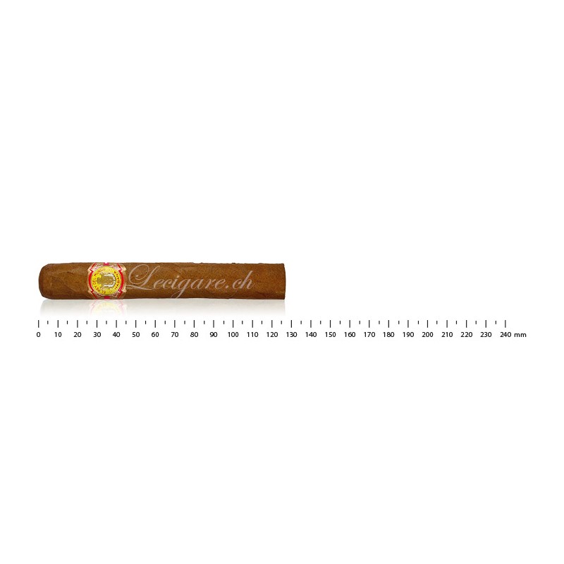 EL REY DEL MUNDO CHOIX SUPRÊMEEL REY DEL MUNDO CHOIX SUPRÊME