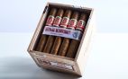 Hoyo de Monterrey- San Juan 25er Kiste 