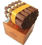 Cohiba Robustos SLB (25) 