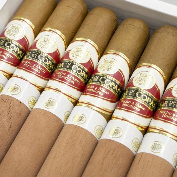 科潘之花 高朗拿 Flor de Copan Corona