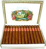 Saint Luis Rey Regios (25) 