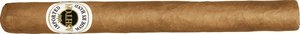 Ashton Classic Churchill 