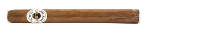 Ashton Classic Churchill 