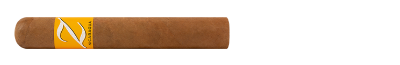 Zino Nicaragua - Gordo 