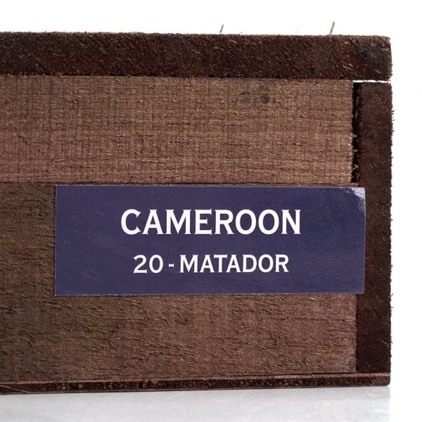 克里斯托弗 喀麦隆 斗牛士 Kristoff Cameroon Matador