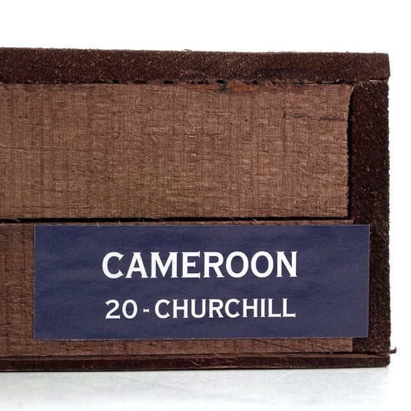 克里斯托弗 喀麦隆 丘吉尔 Kristoff Cameroon Churchill